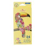 Colour Pencil 24 DUO